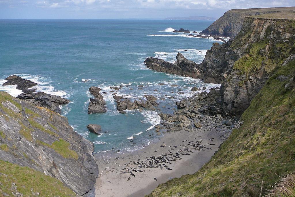 Sandee - Godrevy Beach