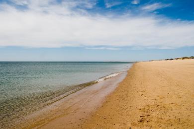 Sandee Herring Cove Beach Photo