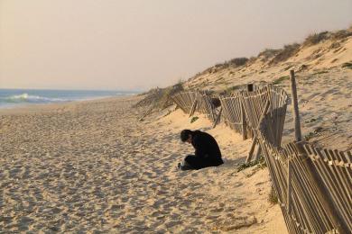 Sandee - Praia Da Quinta Do Lago