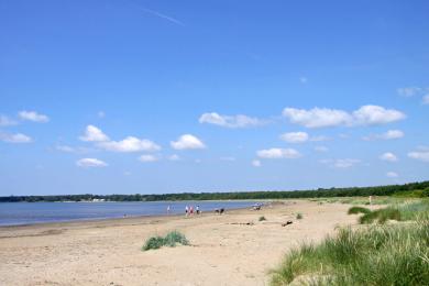 Sandee Ostra Stranden