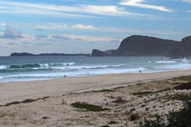 Sandee Blueys Beach