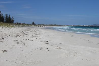 Sandee - Castletown Beach