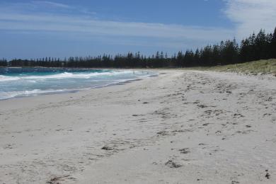 Sandee Castletown Beach