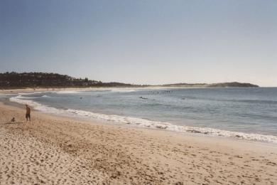 Sandee - Dee Why Beach