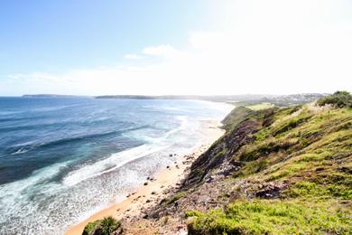 Sandee - Dee Why Beach