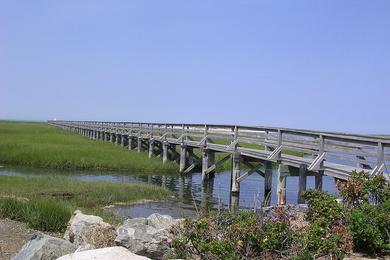 Sandee Bass Hole Cove Photo