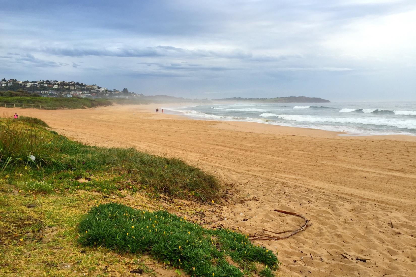 Sandee - Dee Why Beach