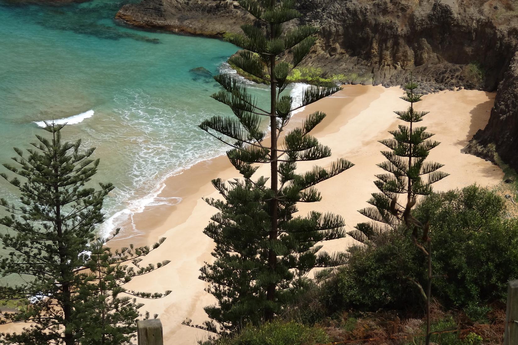 Sandee - Ansons Bay Beach