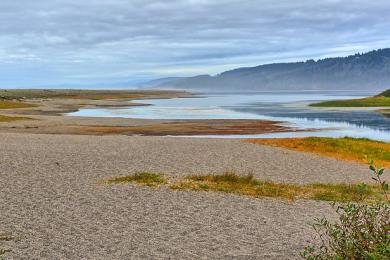 Sandee Big Lagoon County Park Beach