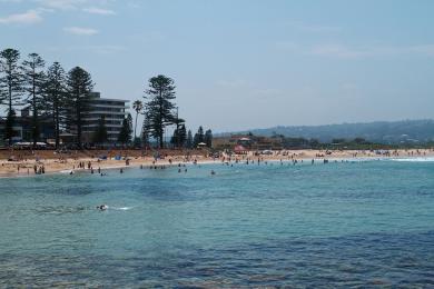 Sandee Dee Why Beach Photo