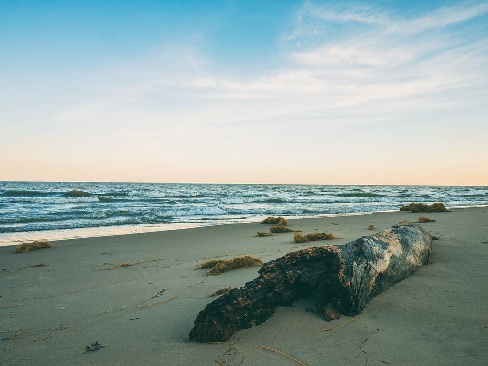 Sandee - Black Sands Beach