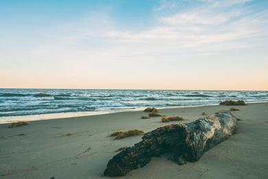 Sandee - Black Sands Beach