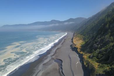 Sandee Black Sands Beach Photo