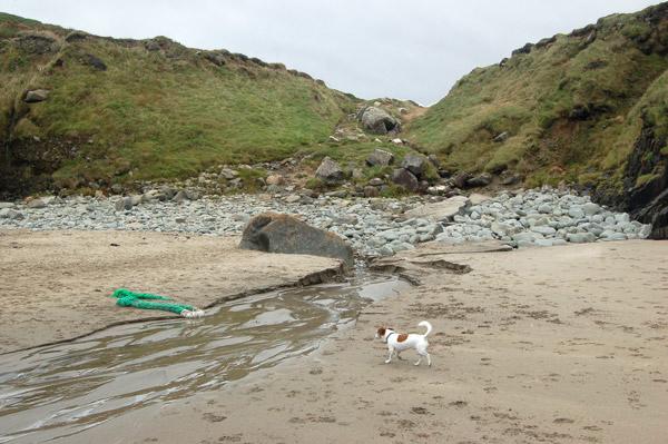 Sandee - Porthmelgan Beach