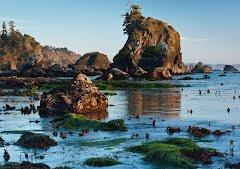 Sandee Baker Beach