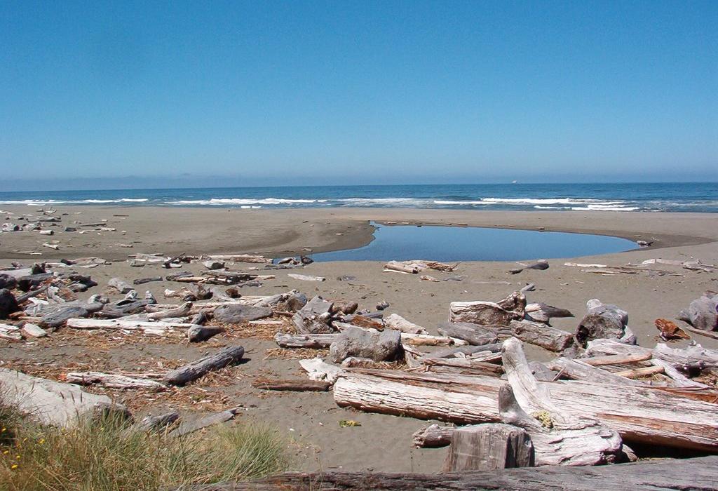 Sandee Gold Bluffs Beach