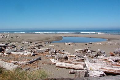 Sandee Gold Bluffs Beach
