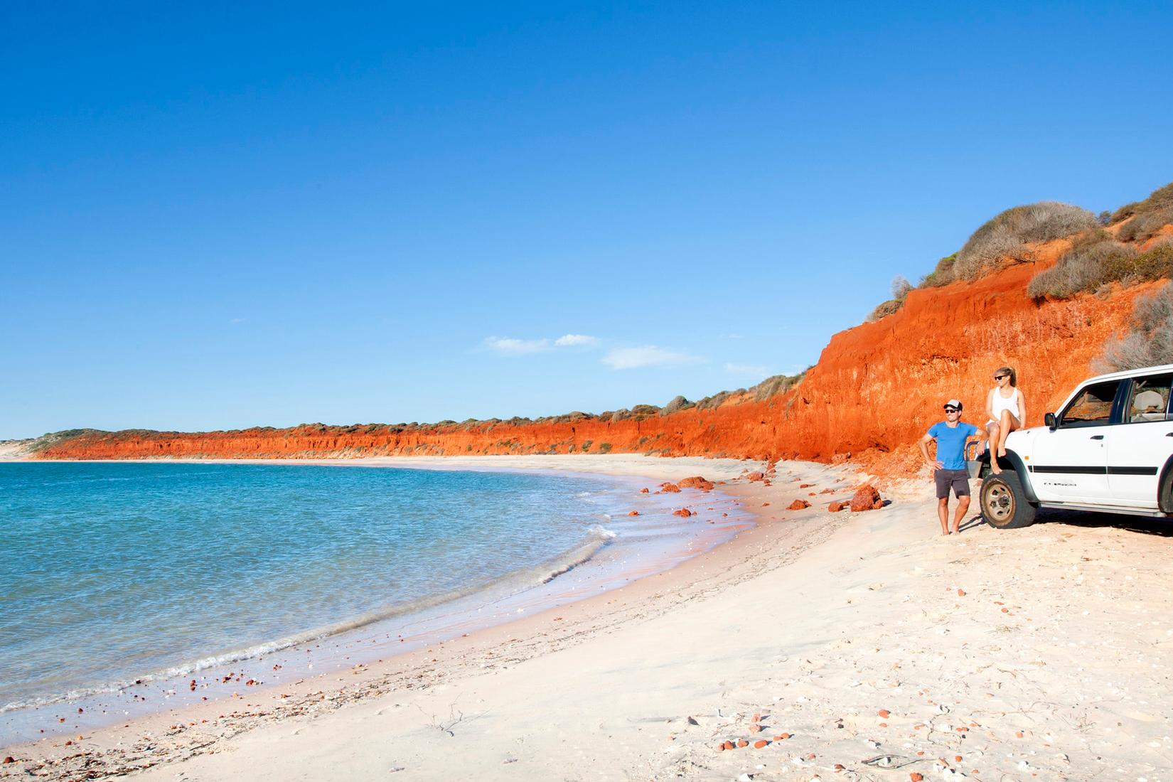 Sandee - Shark Bay