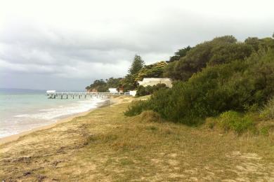 Sandee Sullivan Bay