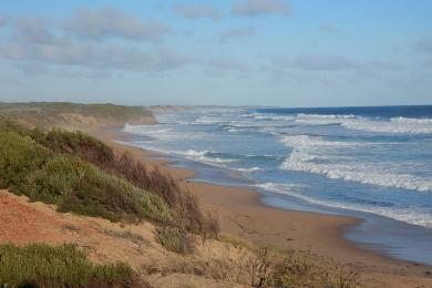 Sandee Surf Photo