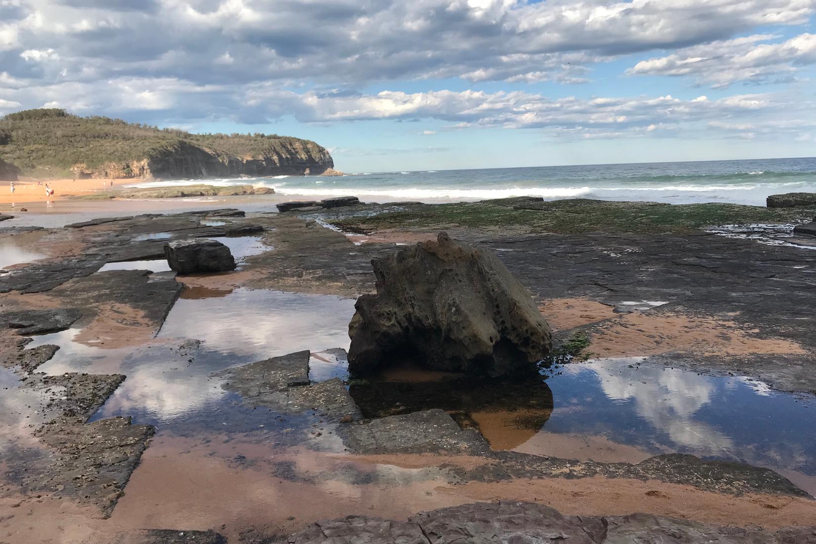 Sandee - Turimetta Beach