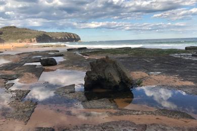 Sandee Turimetta Beach