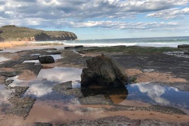 Sandee - Turimetta Beach