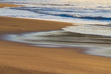 Sandee - Turimetta Beach