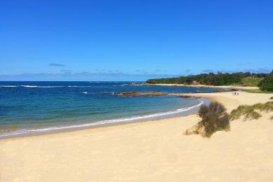 Sandee Cape Paterson Photo