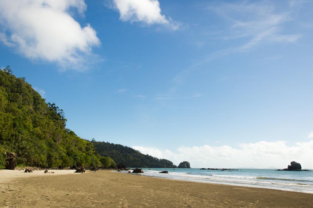 Sandee Cape Hillsborough Photo