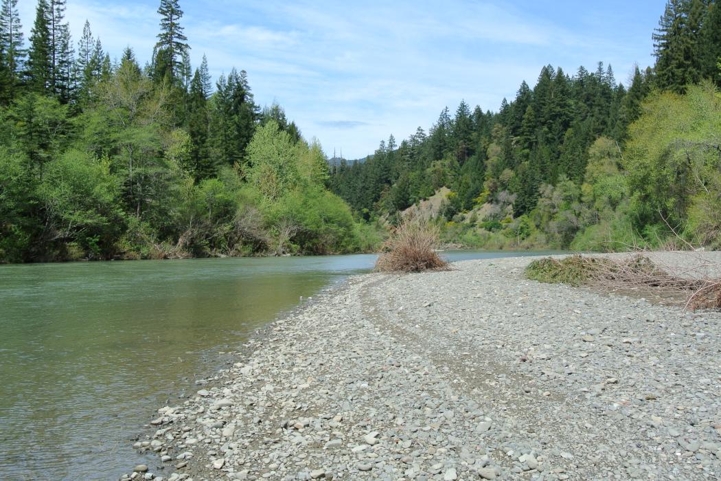 Sandee Eel River State Wildlife Area