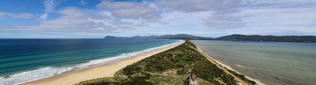 Sandee - Cloudy Bay Beach