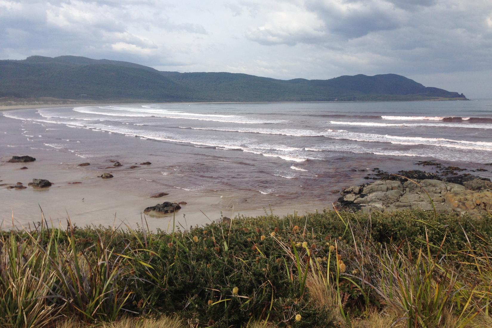 Sandee - Cloudy Bay Beach