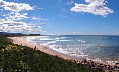 Sandee Corrimal Beach