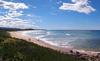 Sandee Corrimal Beach Photo