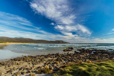 Sandee Cloudy Bay Beach Photo