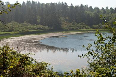 Sandee Freshwater Lagoon Beach Photo