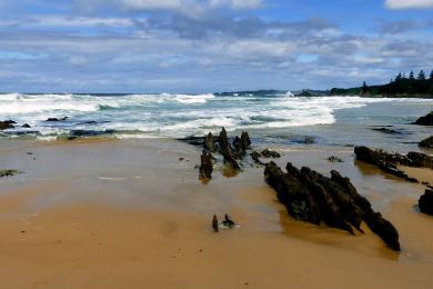 Sandee Dalmeny Beach Photo