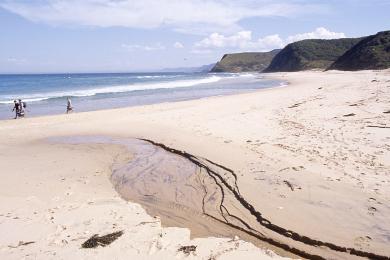 Sandee Garie Beach Photo