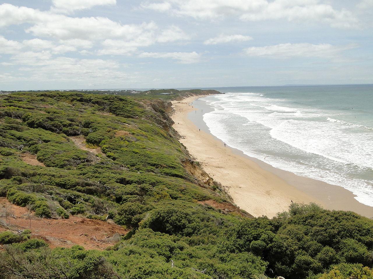 Sandee - Jan Juc Beach