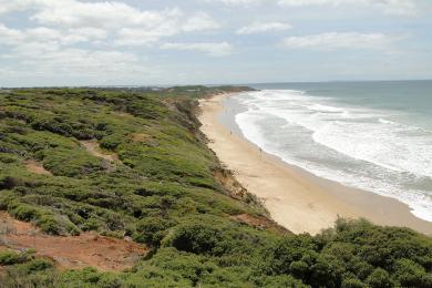 Sandee - Jan Juc Beach