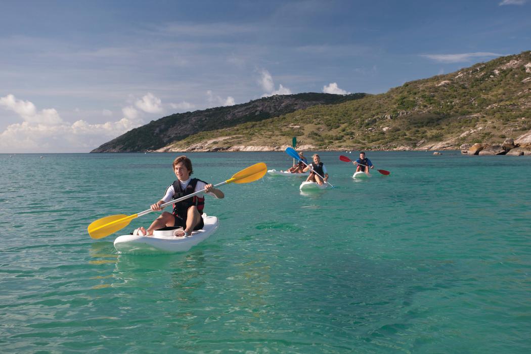 Sandee Lizard Island