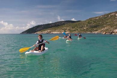 Sandee Lizard Island Photo