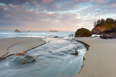 Sandee Moonstone Beach County Park Photo