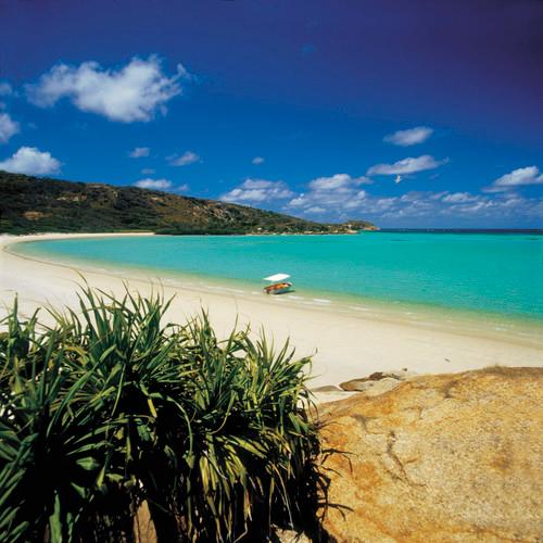 Sandee - Lizard Island