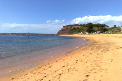 Sandee Long Reef Beach Photo