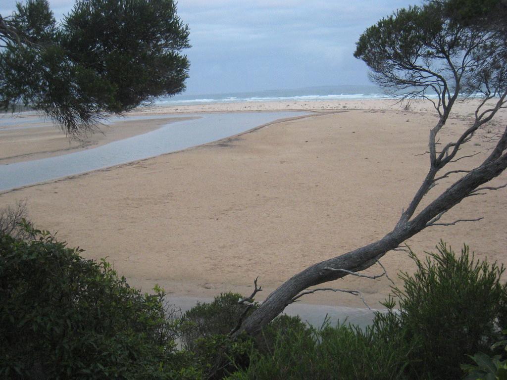 Sandee - Mallacoota Spit Beach