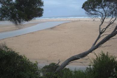 Sandee - Mallacoota Spit Beach