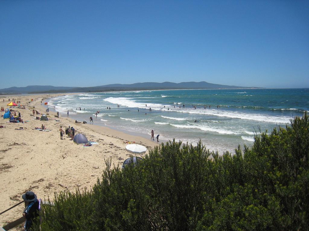 Sandee - Mallacoota Spit Beach