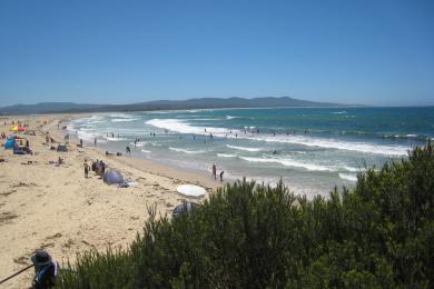 Sandee Mallacoota Spit Beach
